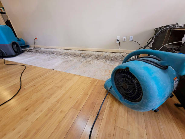 Professional Water Damage Repair technician working in Morgan Hill, PA
